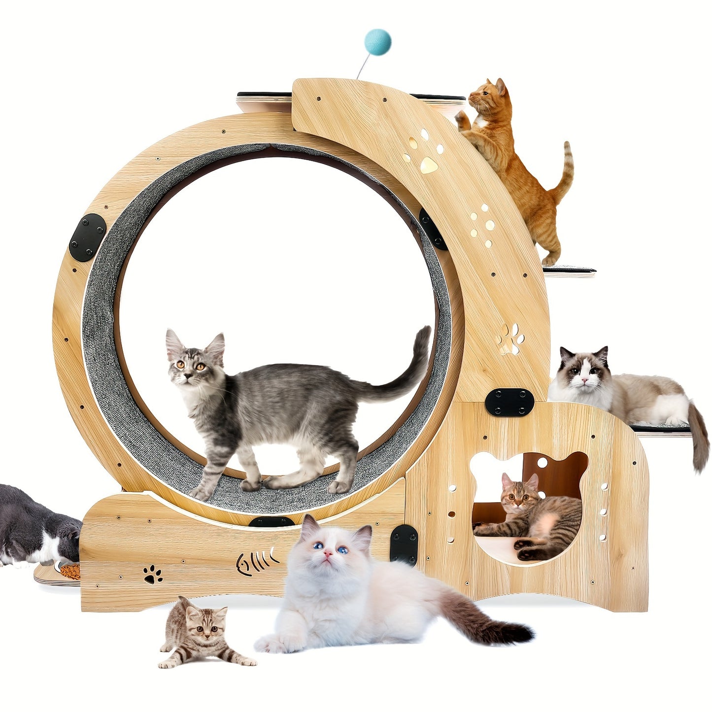 5 In 1 Cat Exercise Wheel For Indoor Cats, Diameter 78.3cm Running Wheel With Locking Mechanism, Sturdy Noiseless Treadmill Roller With Carpeted Runway, Loss Weight Device Sports Equipment For Pets